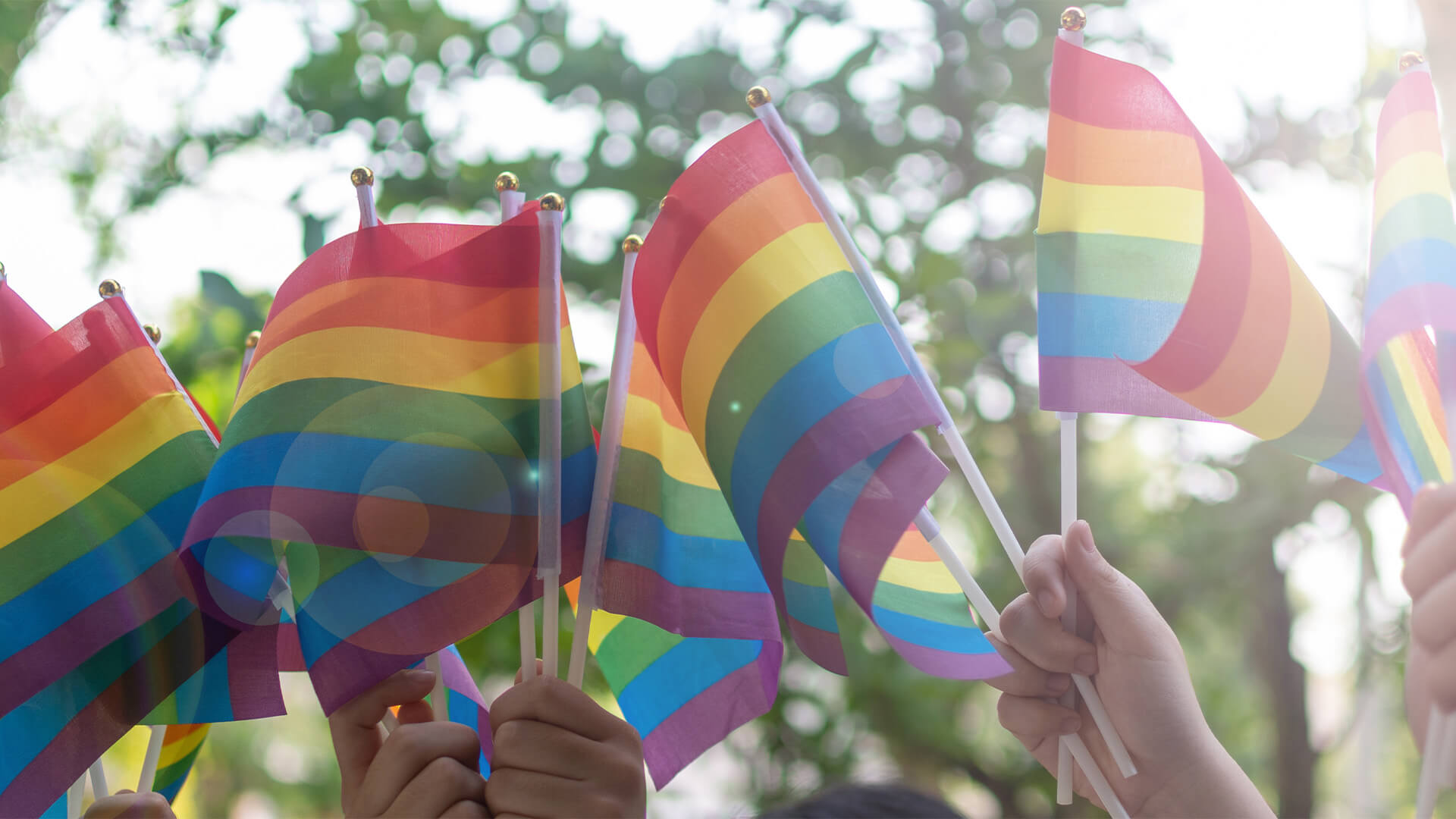 Hands holding up small rainbow flags in the daylight