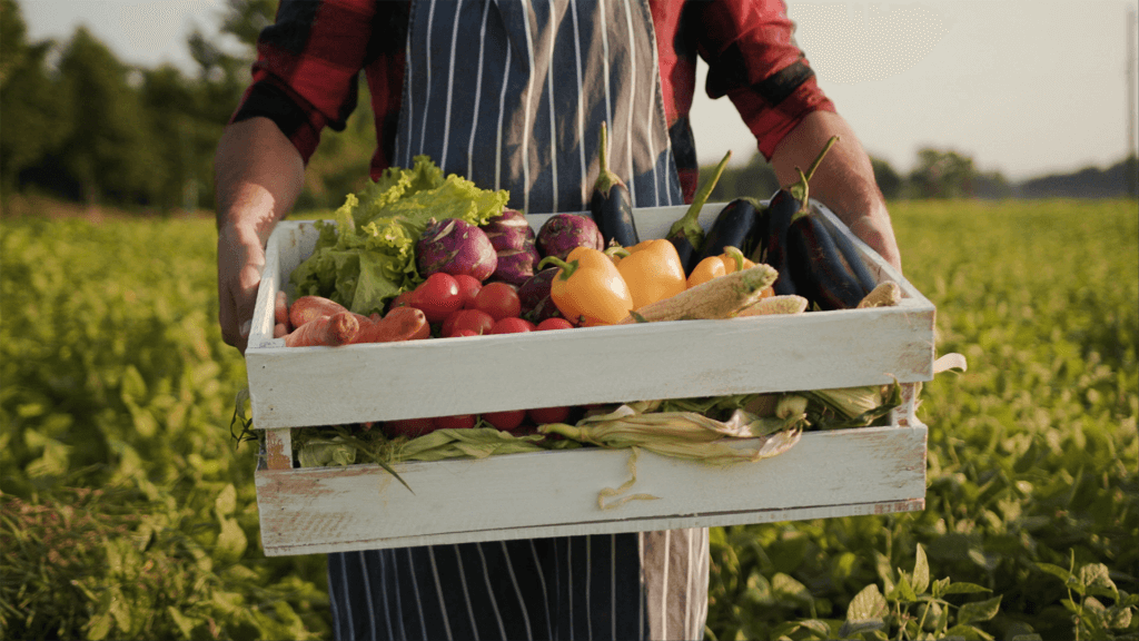 Man holding organic food basket